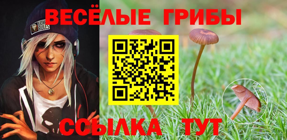 Псилоцибиновые грибы Magic Shrooms Королёв
