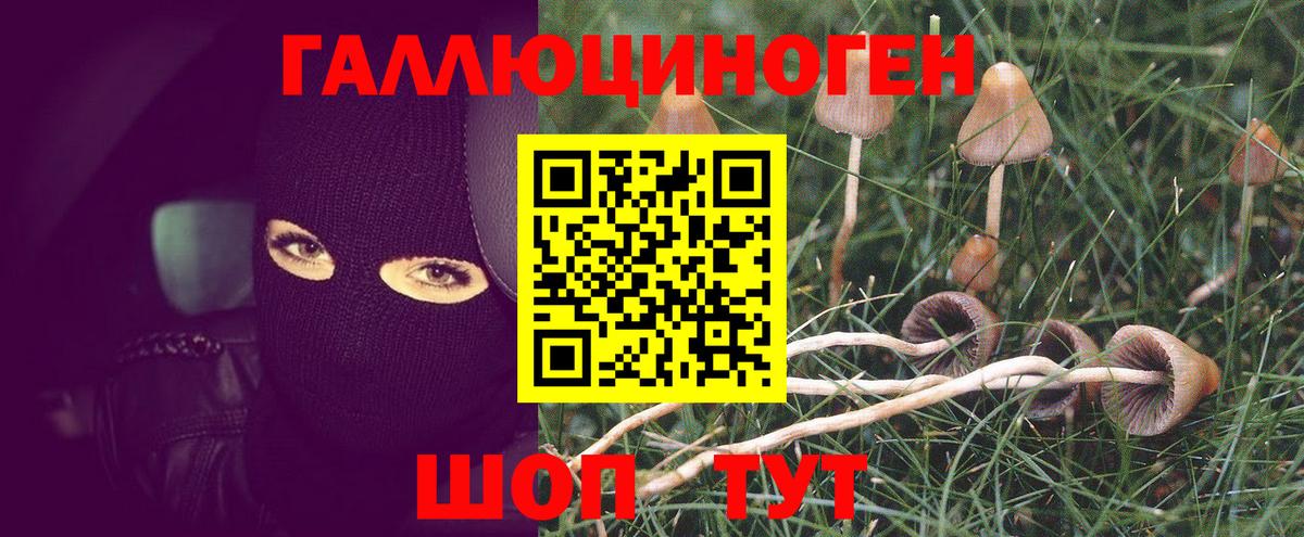 Королёв  Псилоцибиновые грибы прущие грибы  Вход с VPN  Галлюциногенные грибы ЛСД 